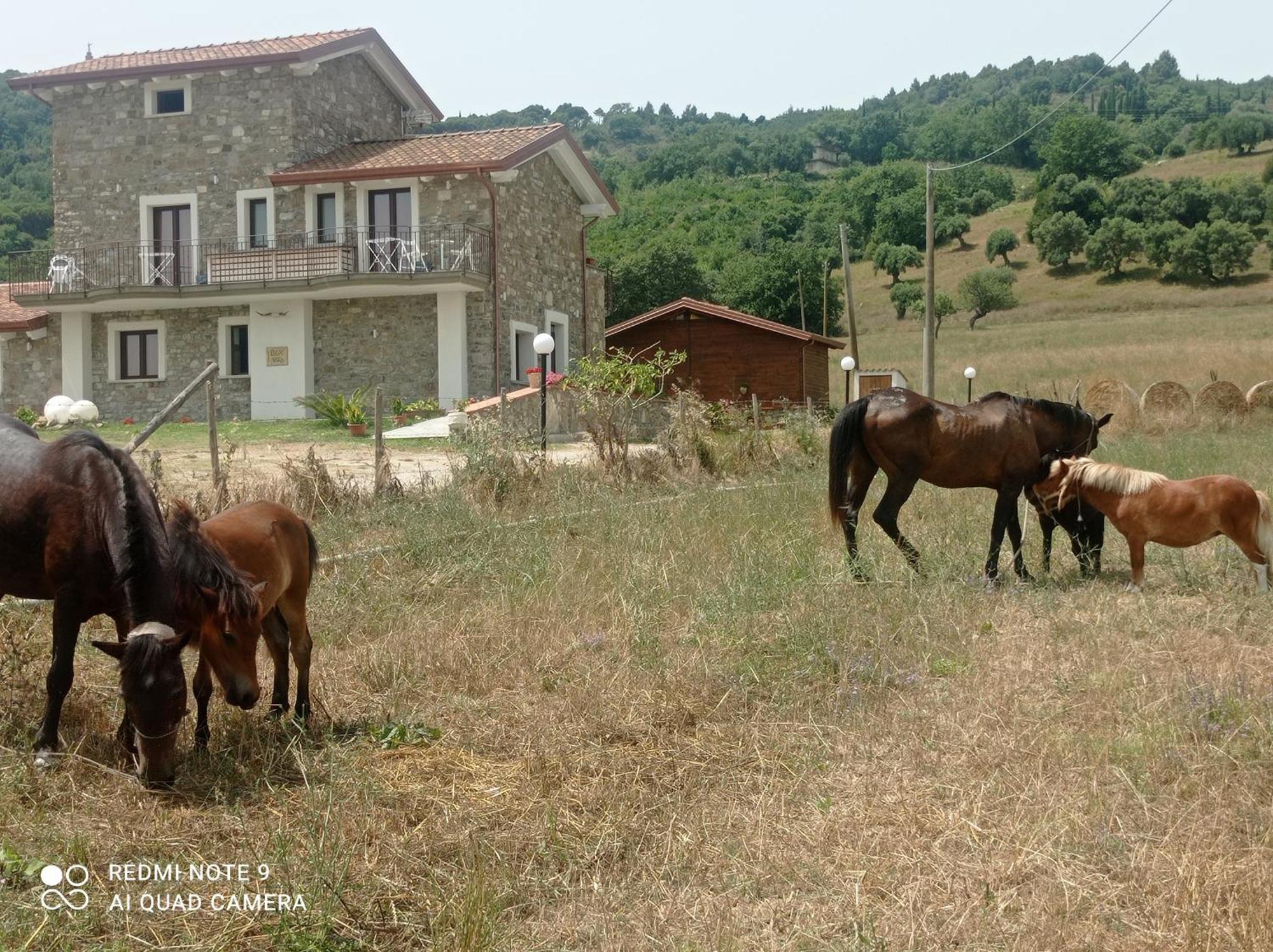 Lux Vera B & B Agropoli Exteriör bild