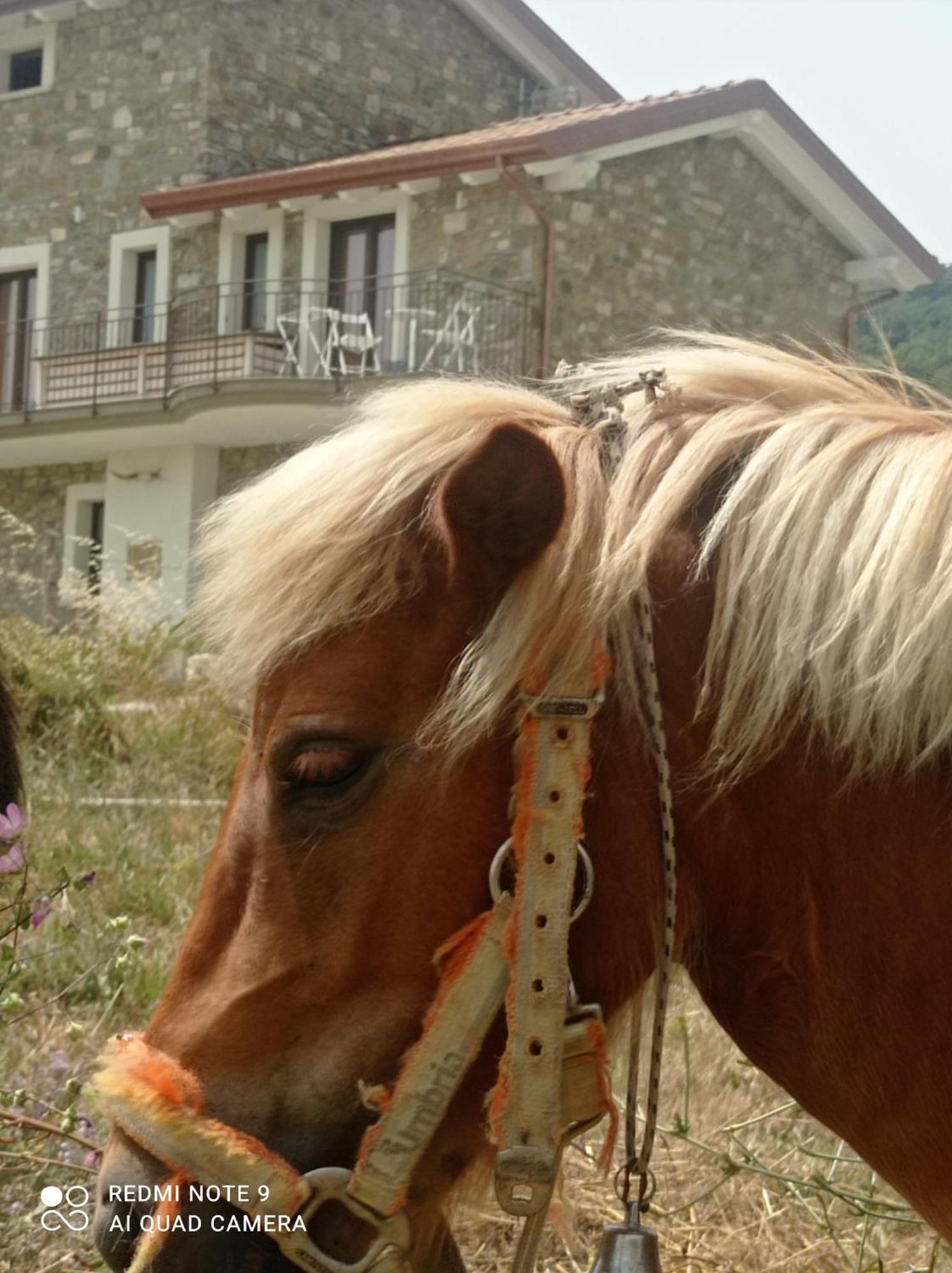 Lux Vera B & B Agropoli Exteriör bild